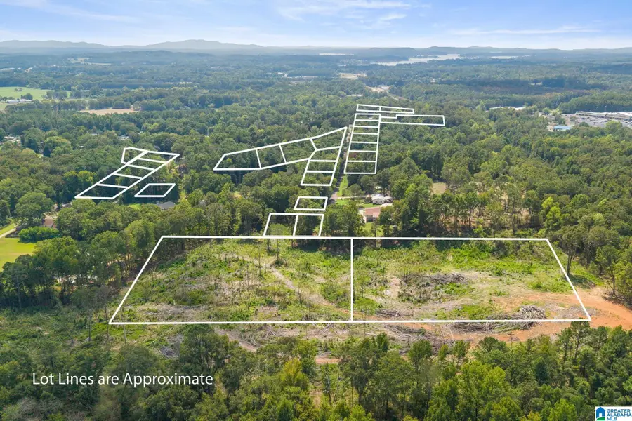 24 PINE KNOLL DRIVE, Pell City, AL 35128 - #3