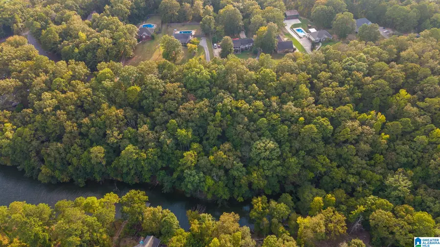 OSPREY DRIVE, Pell City, AL 35128 - #3