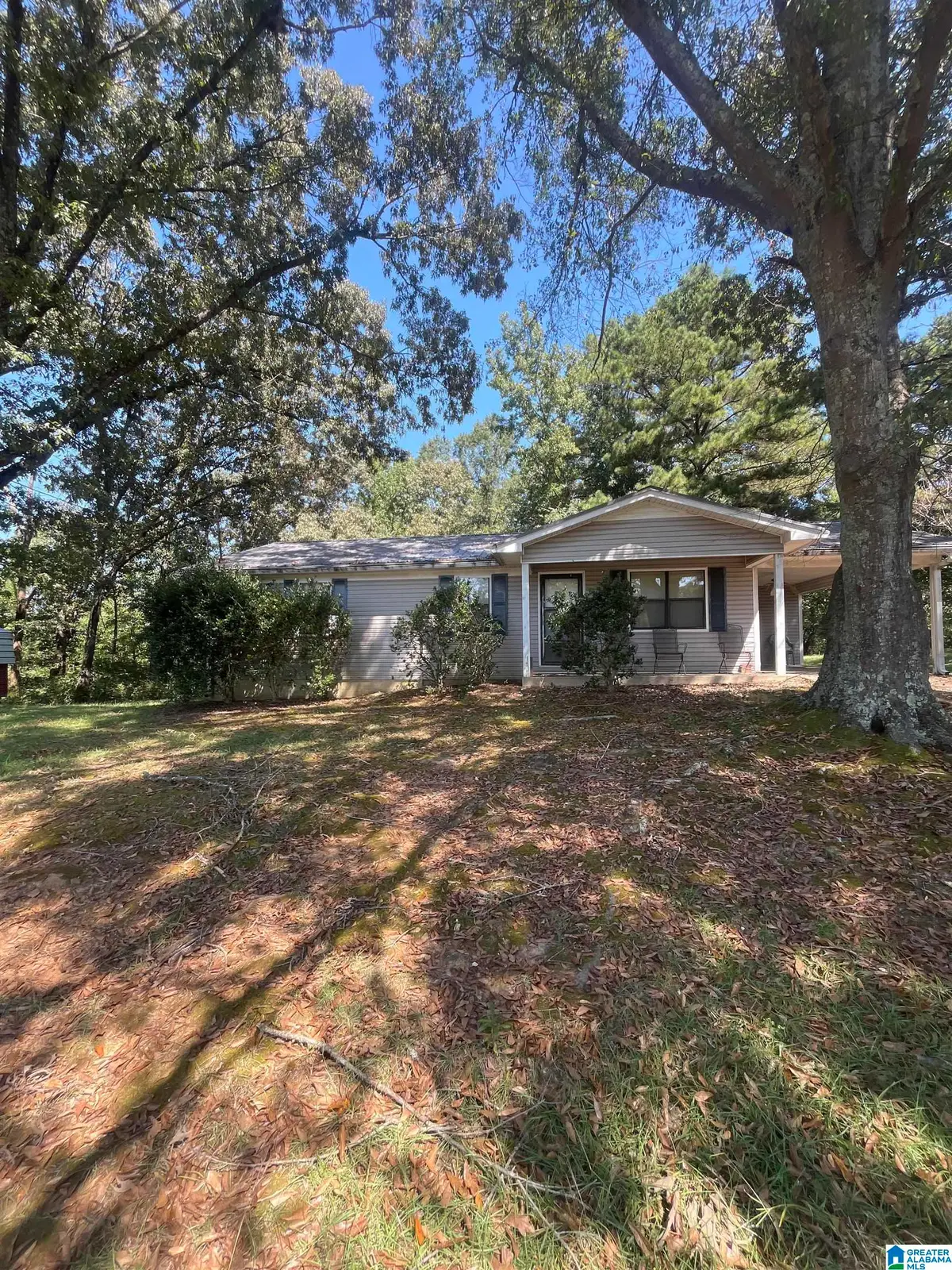 424 WINGO ROAD, Empire, AL 35063 - #1