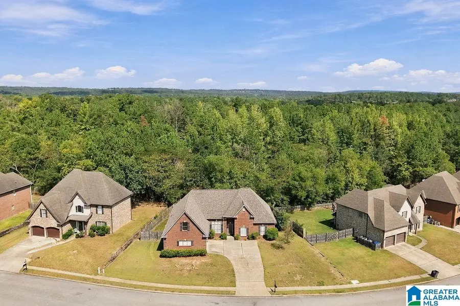 4182 OLD CAHABA PARKWAY, Helena, AL 35080 - #2