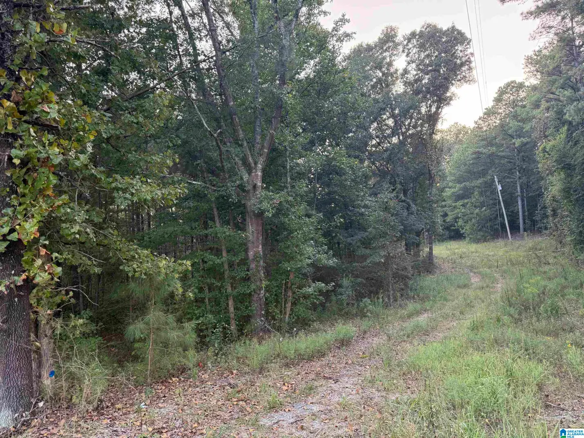 7195 LOU GEORGE LOOP, Bessemer, AL 35022 - #1