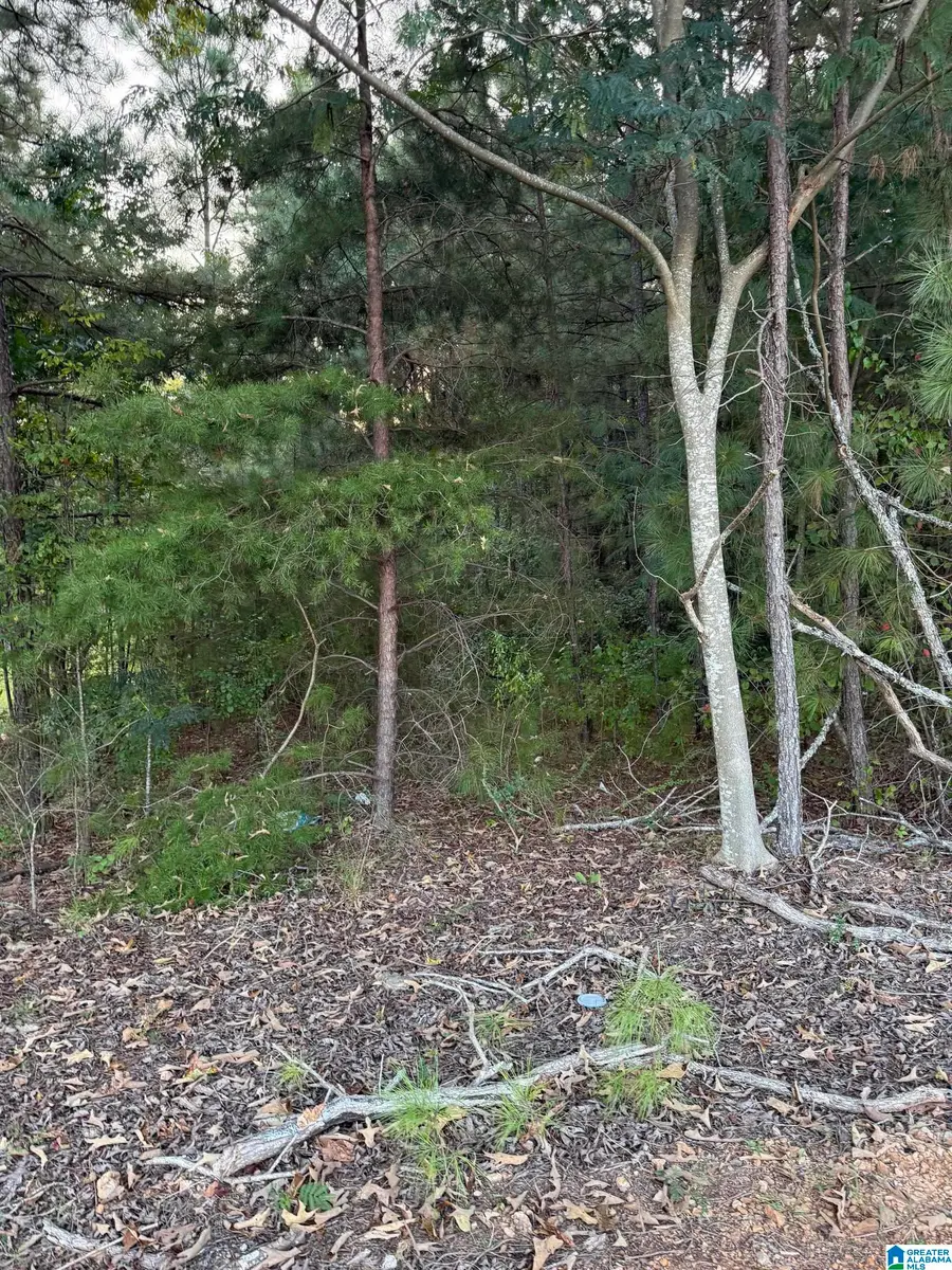 7195 LOU GEORGE LOOP, Bessemer, AL 35022 - #2