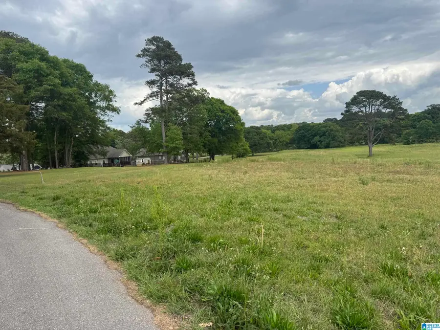 2925 FAIRWAY DRIVE, Pell City, AL 35128 - #3