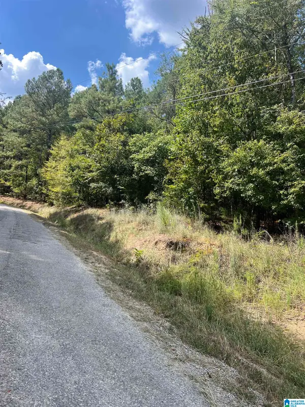 COUNTY ROAD 8, Clanton, AL 35046
