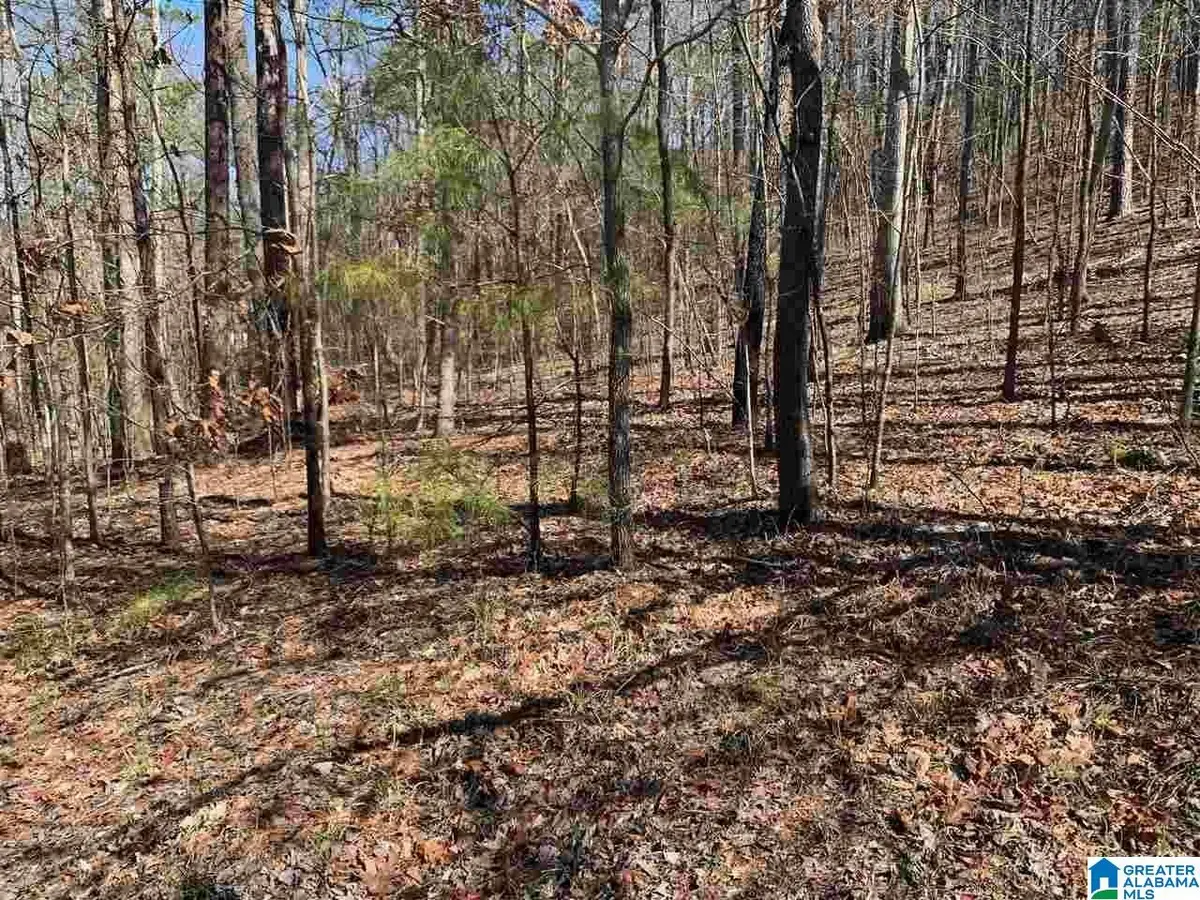 8511 SCENIC RIDGE DRIVE, Pinson, AL 35126 - #1