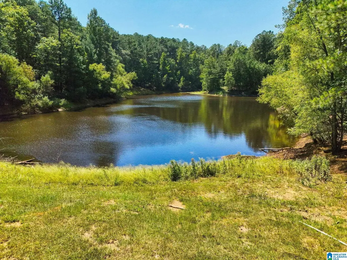 1077 LONG BRANCH PARKWAY, Calera, AL 35040 - #1