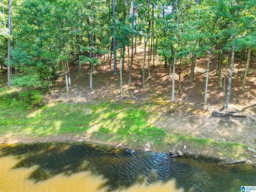 1077 LONG BRANCH PARKWAY, Calera, AL 35040 - #2