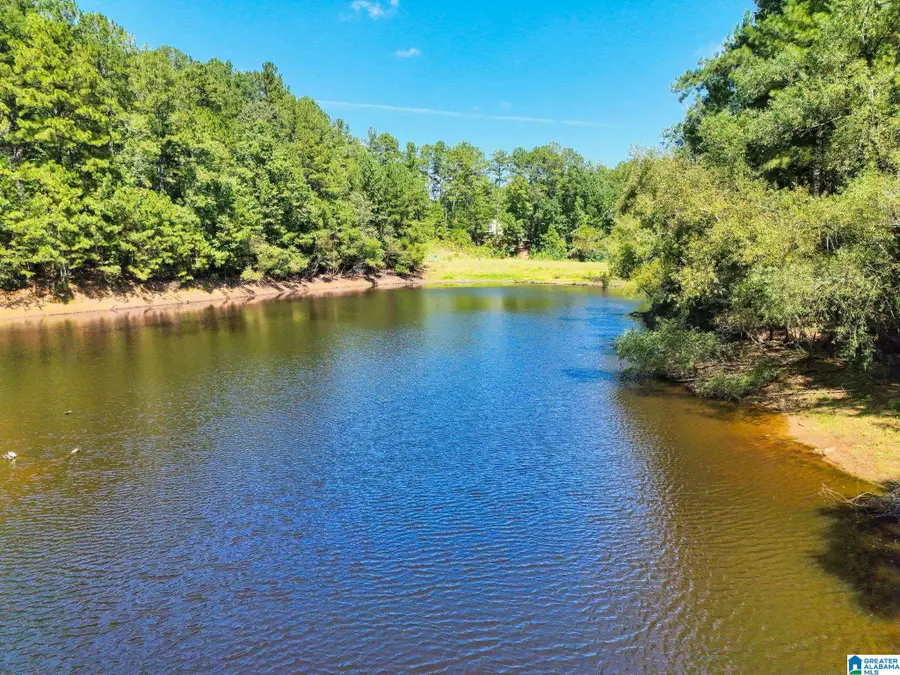 1077 LONG BRANCH PARKWAY, Calera, AL 35040 - #3
