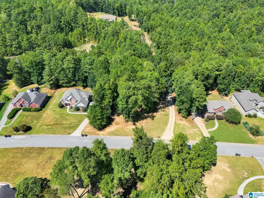 1109 LONG BRANCH PARKWAY, Calera, AL 35040 - #2