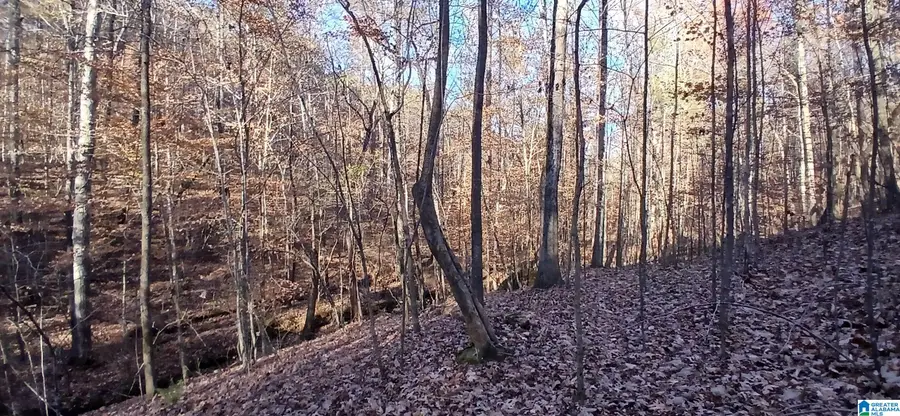 0 BLACKJACK ROAD, Trussville, AL 35173 - #2