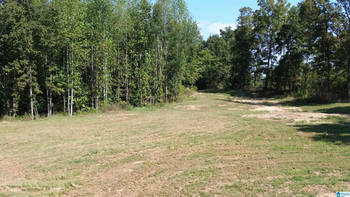 00 COUNTY ROAD 222, Bremen, AL 35033 - #1
