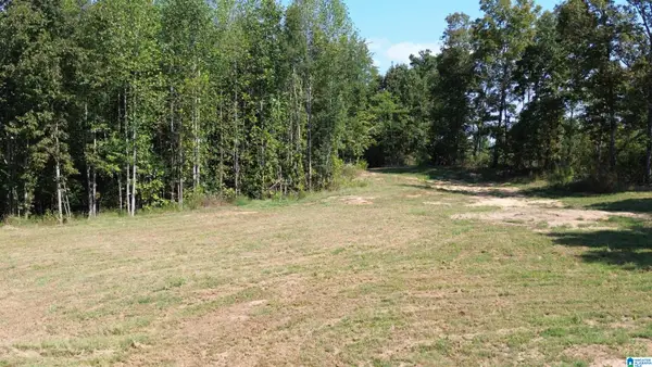 00 COUNTY ROAD 222, Bremen, AL 35033