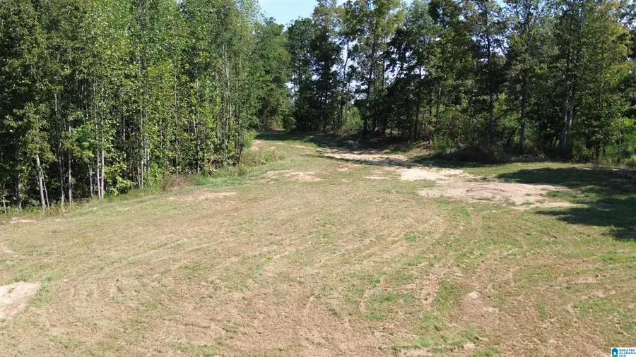 00 COUNTY ROAD 222, Bremen, AL 35033 - #3