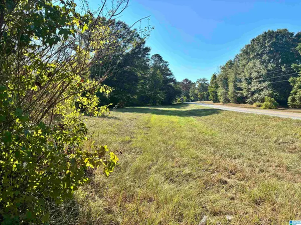 0 COUNTY ROAD 24 E, Verbena, AL 36091