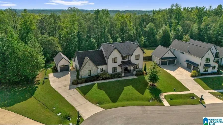 2598 BLACKRIDGE COVE, Hoover, AL 35244 - #3