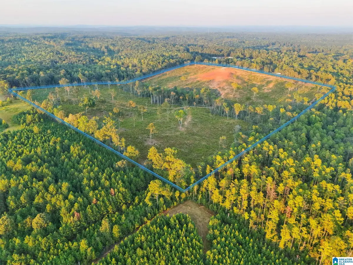 5651 COUNTY ROAD 97, Clanton, AL 35046 - #1