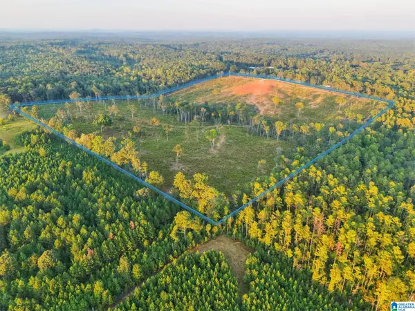 5651 COUNTY ROAD 97, Clanton, AL 35046