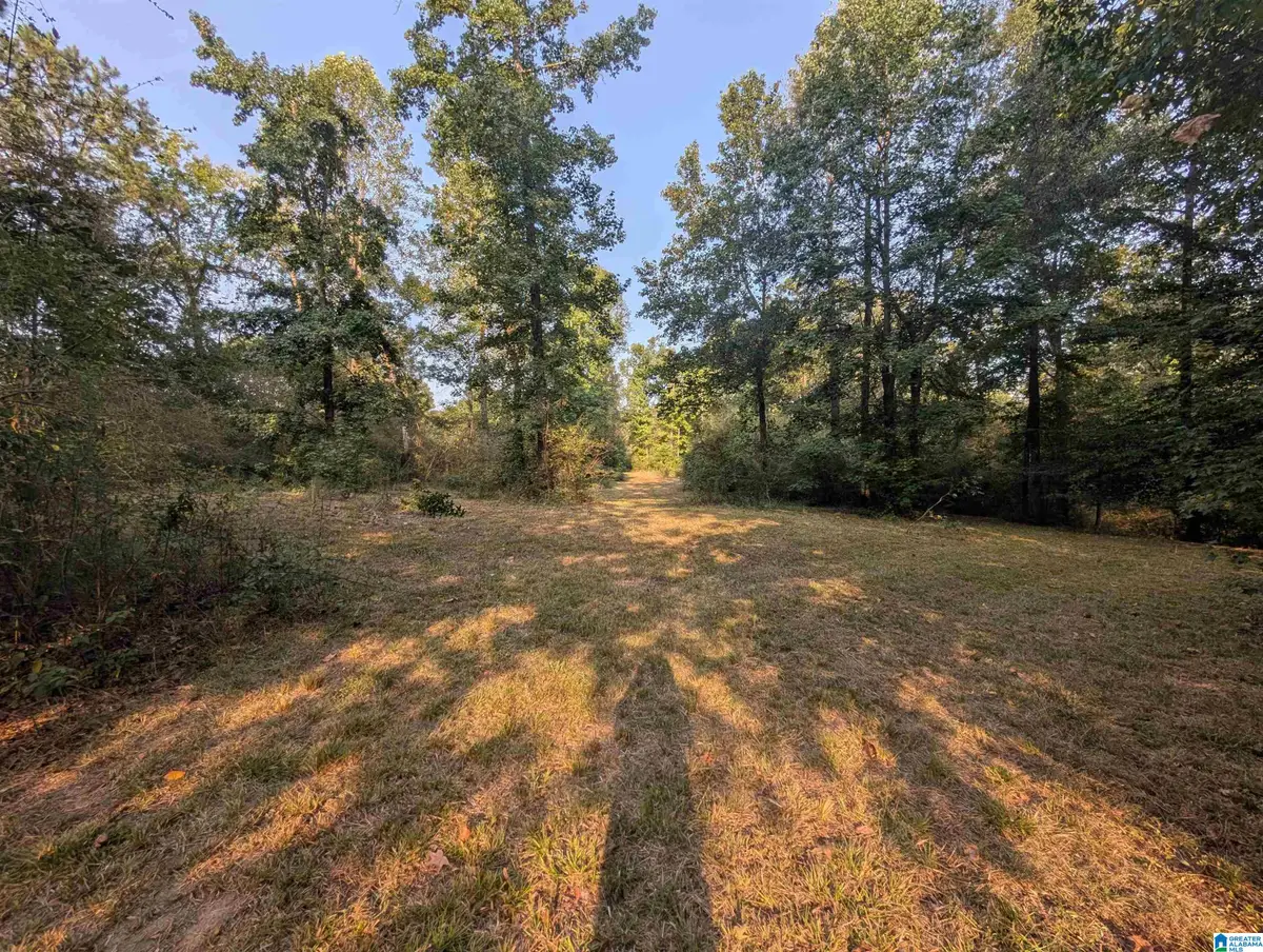 591 MCCLAIN ROAD, Bessemer, AL 35023 - #1