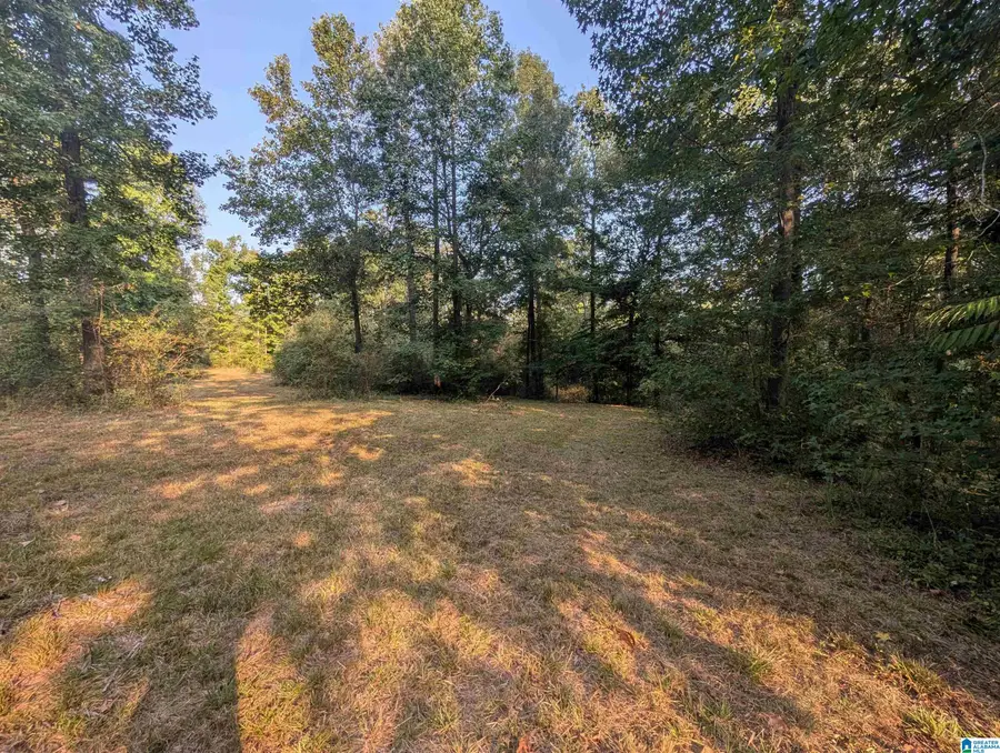 591 MCCLAIN ROAD, Bessemer, AL 35023 - #2