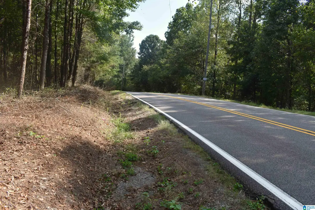 9177 BILL JONES ROAD, Warrior, AL 35180 - #1