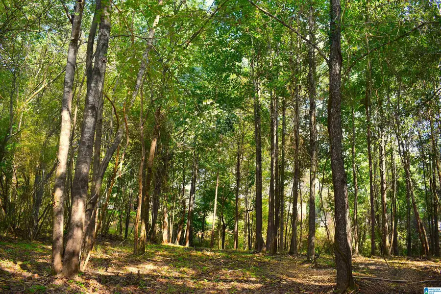 9177 BILL JONES ROAD, Warrior, AL 35180 - #2