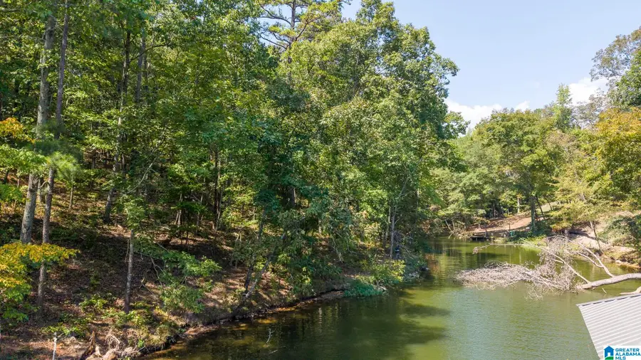 OSPREY DRIVE, Pell City, AL 35128 - #3