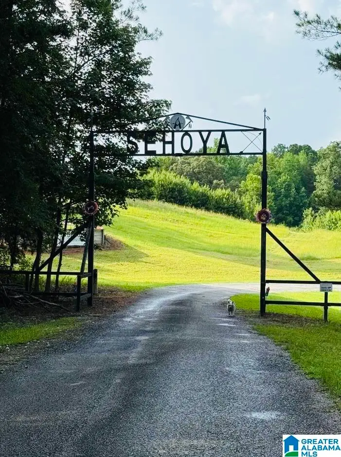 Lots 3,4,5 SEHOYA DRIVE, Clanton, AL 35046 - #2