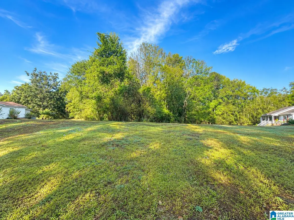 30th Ave NW 30TH AVENUE, Northport, AL 35473 - #1