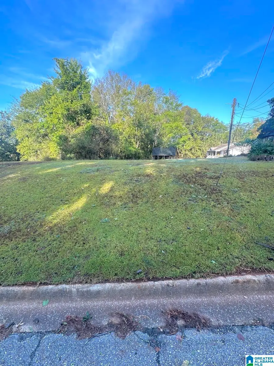 30th Ave NW 30TH AVENUE, Northport, AL 35473 - #3