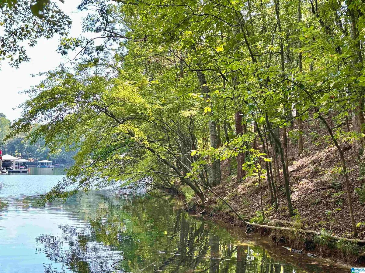 RED EYE LANE, Wedowee, AL 36278 - #1