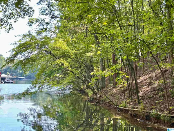 RED EYE LANE, Wedowee, AL 36278
