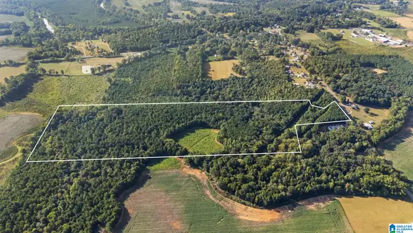 0 AL HIGHWAY 91, Gaylesville, AL 35973
