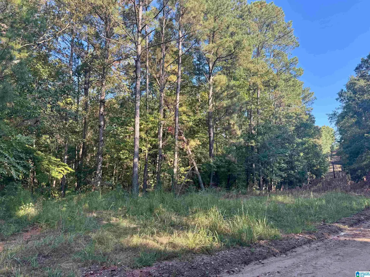 LANE BRANCH ROAD, Wedowee, AL 36278 - #1