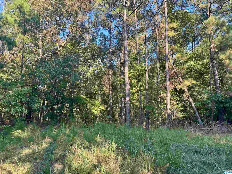 LANE BRANCH ROAD, Wedowee, AL 36278 - #2