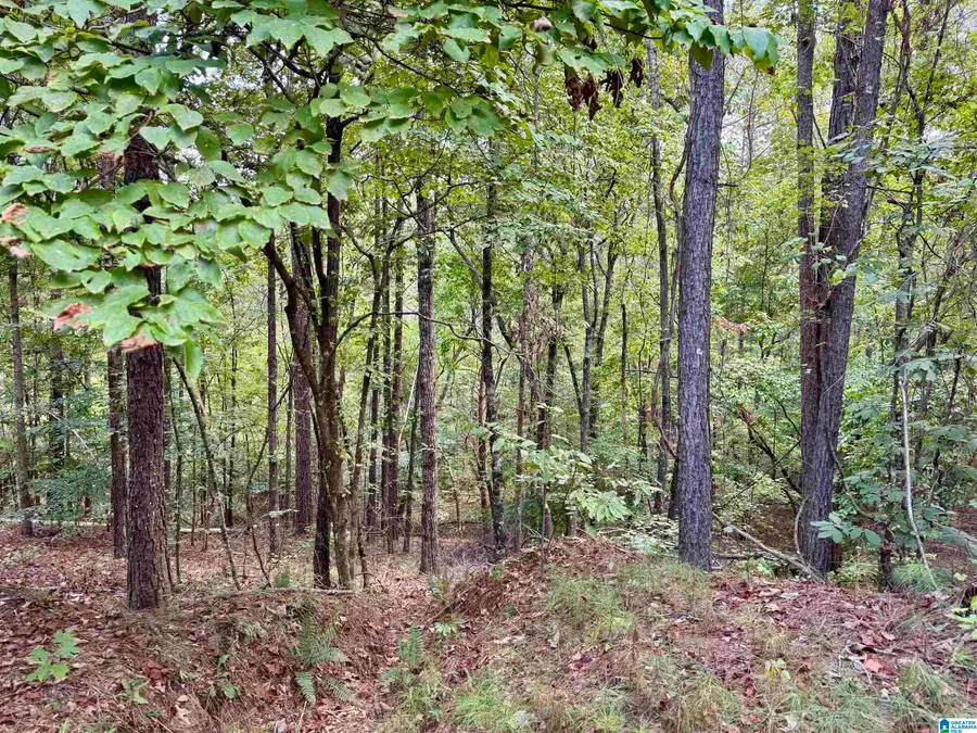 LANE BRANCH ROAD, Wedowee, AL 36278 - #3