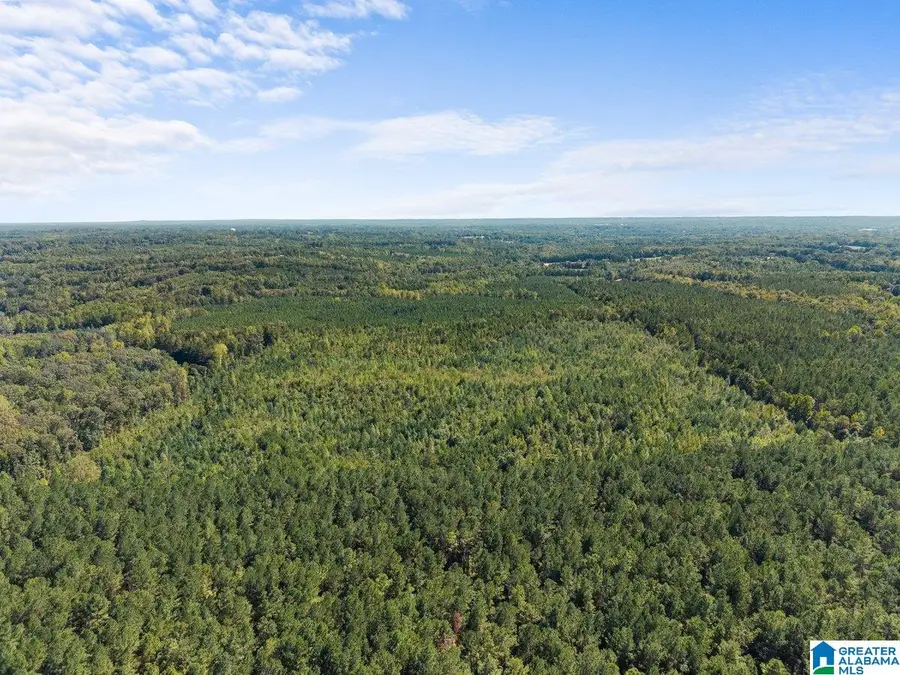 0 COUNTY ROAD 455, Clanton, AL 35046 - #3