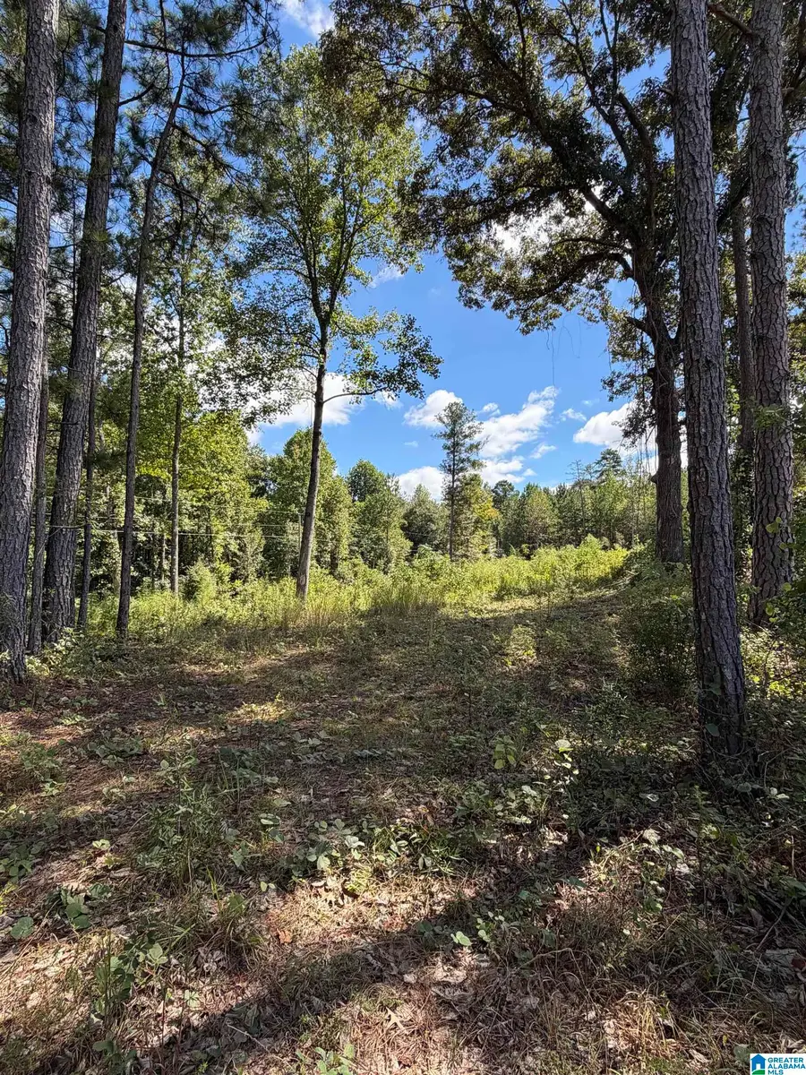 0 COUNTY ROAD 267, Lanett, AL 36863 - #3