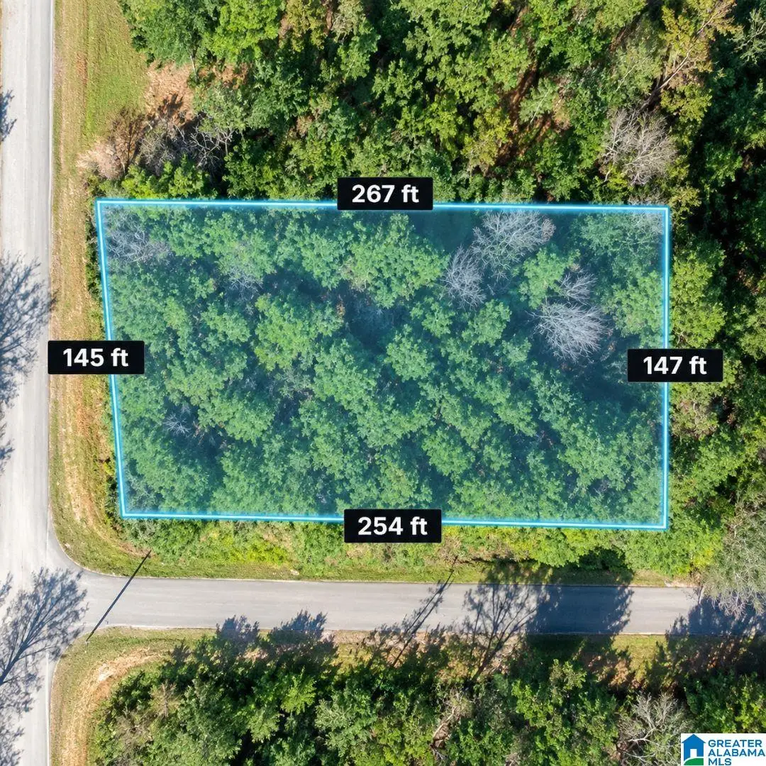 119 SUNSHINE DRIVE, Harvest, AL 35749 - #1