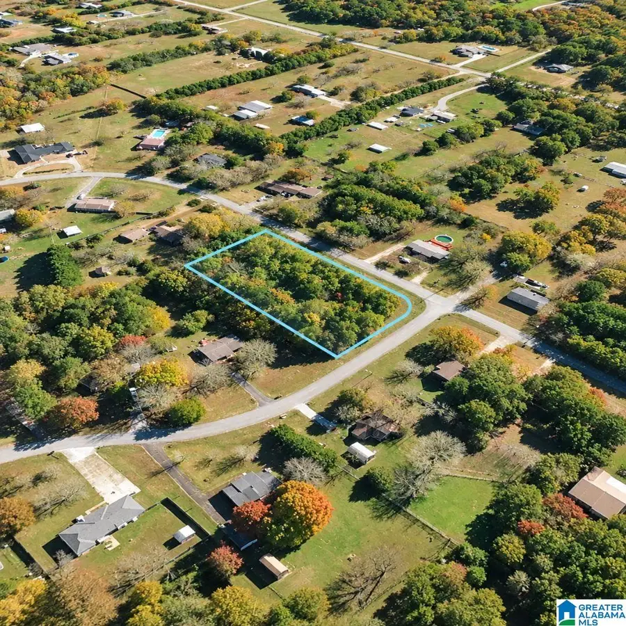 119 SUNSHINE DRIVE, Harvest, AL 35749 - #3