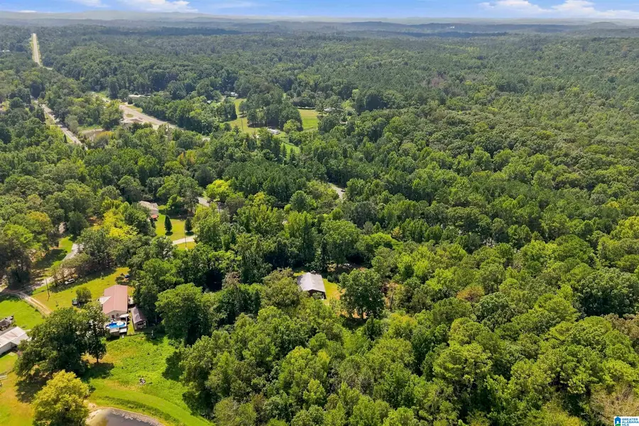 TBA HIGHWAY 338, Chelsea, AL 35043 - #2