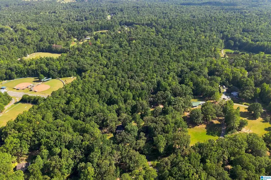TBA HIGHWAY 338, Chelsea, AL 35043 - #3