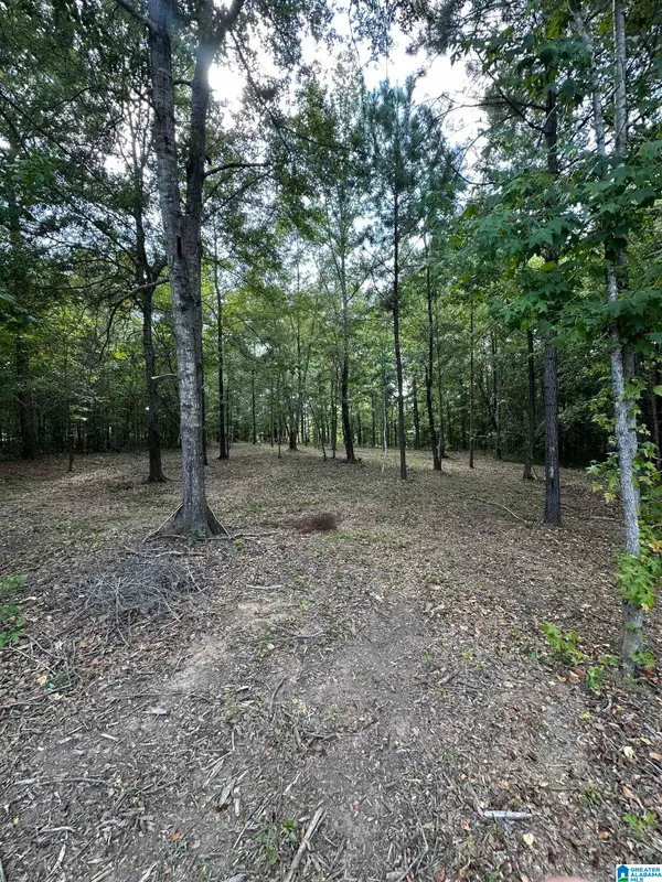 Lot 59 GENERAL JACKSON MEMORIAL DRIVE, Sylacauga, AL 35151