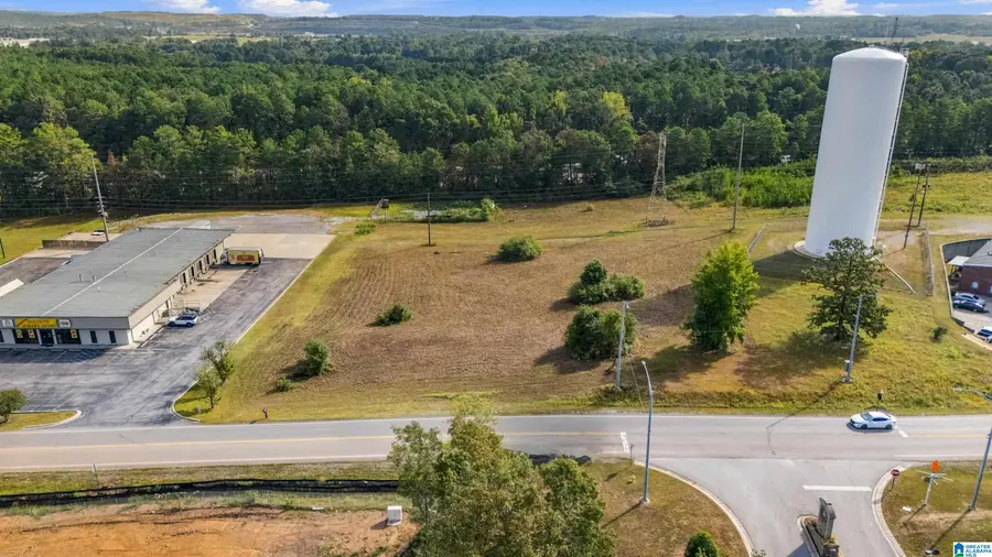 430 GEORGE ROY PARKWAY, Calera, AL 35040 - #2