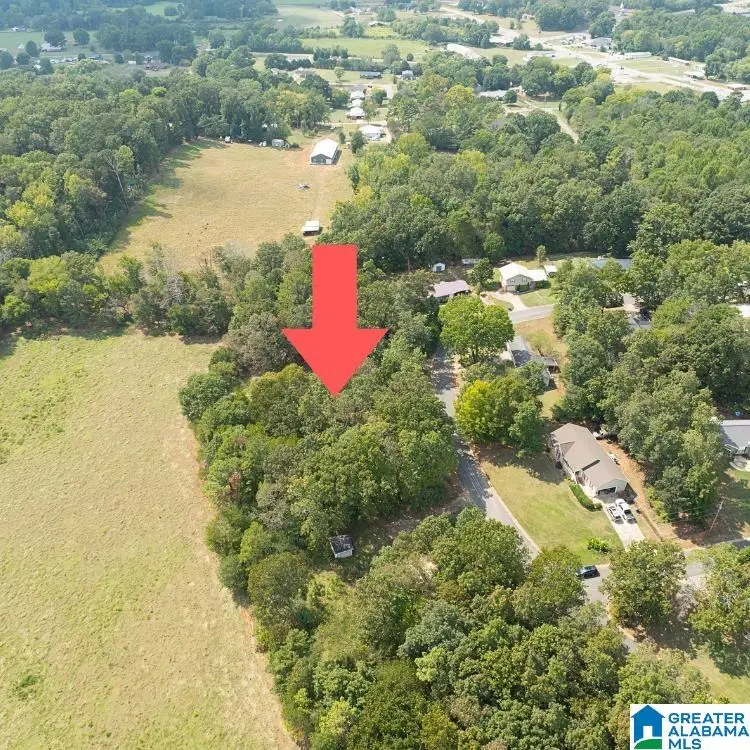 332 SHADECREST DRIVE, Oxford, AL 36203 - #2