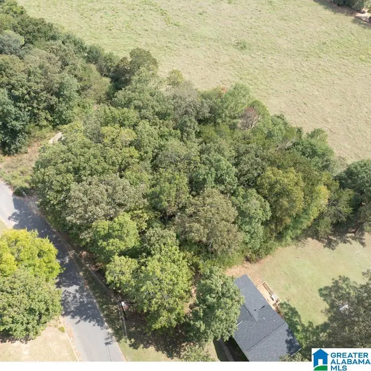332 SHADECREST DRIVE, Oxford, AL 36203 - #3