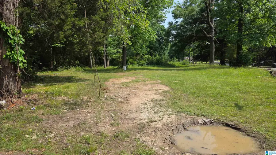 1025 2ND AVENUE SW, Birmingham, AL 35211 - #2