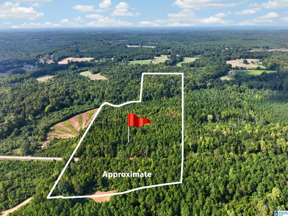 00000 LIBERTY LYLES ROAD, Ethelsville, AL 35461 - #1