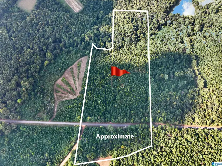 00000 LIBERTY LYLES ROAD, Ethelsville, AL 35461 - #3