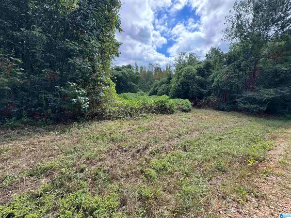 0 ROBIN LANE, Delta, AL 36258
