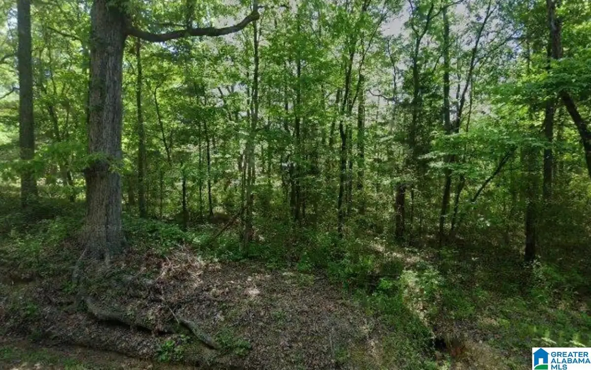 4870 HARPER ROAD, Bessemer, AL 35022 - #1